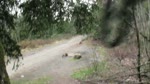 Step Down Quickie
