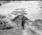 Must Watch Video