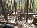 Moose Mountain SLF