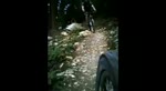 Must Watch Video