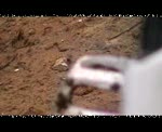 Must Watch Video