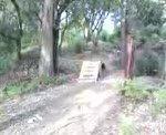 Must Watch Video