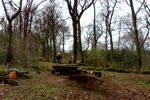 Must Watch Video