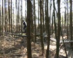 Zulderke Downhill Crew @ Filthy Trails...