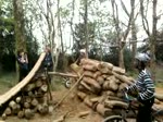 Must Watch Video