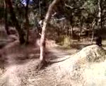 Must Watch Video