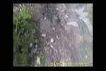 Must Watch Video