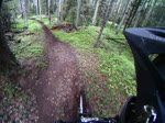 Freeride