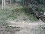 Must Watch Video