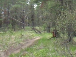 Steamboat road gap