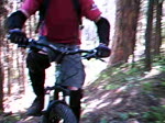 Phillips connector trail