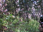 Beardance from Crane Creek to Trailhead