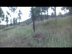 ..Back To Nature World tour of Rocky