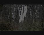 Claife Heights - A hidden gem