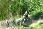 'fuzi dirt' in sopron