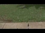 Must Watch Video