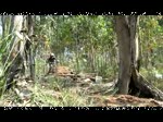 Must Watch Video