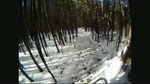 All Mountain Snow Run