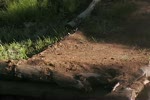 Shawn callahan's unknown trail.