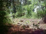 rocky section