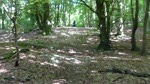 Brighstone DH test run