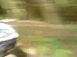 Must Watch Video