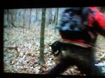 bear grylls