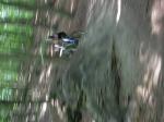 Must Watch Video