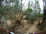Dirt Jumps