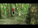 Must Watch Video