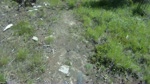lower kerplop