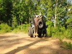 Local trail in Blue Ridge, Stanley Gap