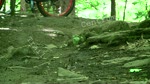 Centrum Trail #2