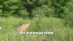 Must Watch Video