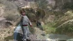 Must Watch Video