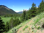 Chilcotin Single Track 2
