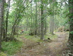 pump track