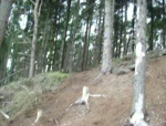 lozza doing the offcamber rooty section