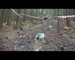Nick Turner takes a Spill