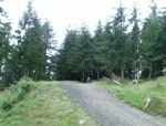 freeride park train