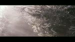 Life cycles recut by Drop in Films