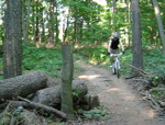 Log straight line