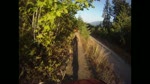 Olympic Adventure Trail