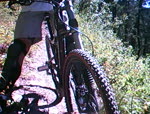 Trail below Hall Lake (1)