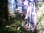 Hall Lake Trail (2)