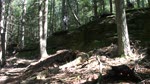 Dragons Tail (JMZ,Brian)