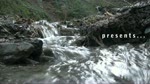 Must Watch Video