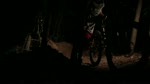 Night Lights