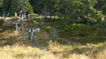 Freeride 2010