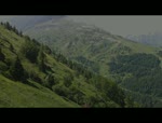 Must Watch Video